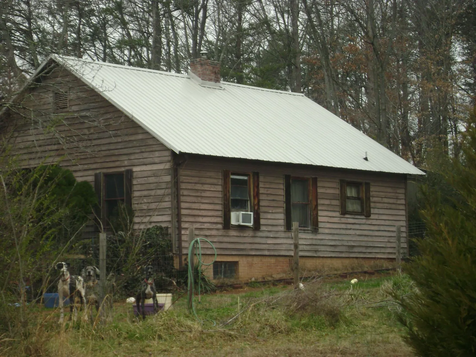 White metal roof on an old wood sided farmhouse, from a Asphalt Shingle Roof Repair job in Seaboard
